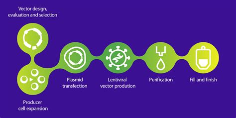 lentivirus vector processing.